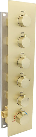 HOMEDEC Multi Function Shower Diverter Valve with Trim, 5 Port Concealed Brass Thermostatic Mixer Shower Control Valve Kit Replacement(5-Way, Brushed Gold)