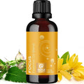 Focus Essential Oil Blend for Diffusers - Aromatherapy Essential Oils Blend for Home and Travel Energy Focus and Attention Support with Grapefruit Bergamot Peppermint and Eucalyptus (1 Fl Oz)