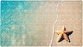 Bathtub Mats for Shower Tub, Anti-Slip Bath Mats for Inside Tub, Bathroom Shower Mats with Drain Holes and Suction Cups (Beach Starfish Seashells Turquoise Water)