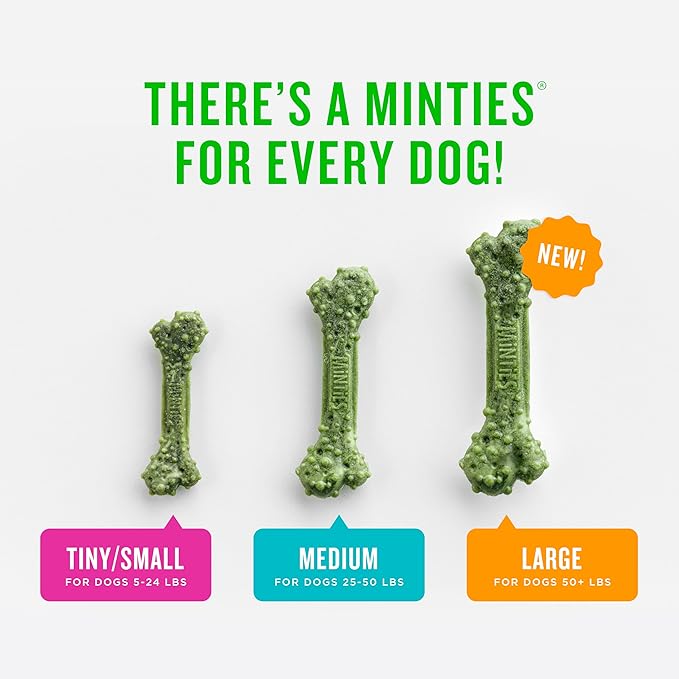 Minties Dental Chews for Dogs, 12 Count, Vet-Recommended Mint-Flavored Treats for Large Dogs Over 50 lbs, Dental Bones Clean Teeth, Fight Bad Breath, and Removes Plaque and Tartar