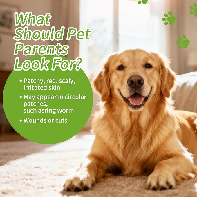 Clean Care Shampoo for Dogs and Cats, Seasonal Itch Relief Shampoo, for Allergies, Itching, Skin and Coat Supplement, Helps Shedding-Gentle Care for Long, Short & Curly Hair