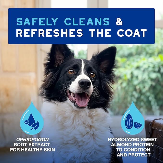DOUXO® Skin & Coat SPA - Ultra-Safe Quick Refresh Leave-on Mousse for Dogs, 10 fl oz, Safely Cleans and Refreshes, Leaves The Coat Soft, Radiant and Smelling Great, Skin-Friendly Formula