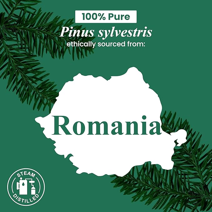 Handcraft Blends Pine Essential Oil – 1 Fl Oz – 100% Pure and Natural – Premium Grade Essential Oil for Diffuser and Aromatherapy, Skin, Massage, Candle and Soap Making Fragrance
