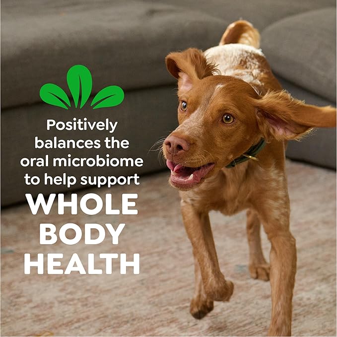Greenies Veterinarian-Recommended Natural Dental Dog Treats Teenie Size, Original Flavor, 36 oz. Pack, 130 Count