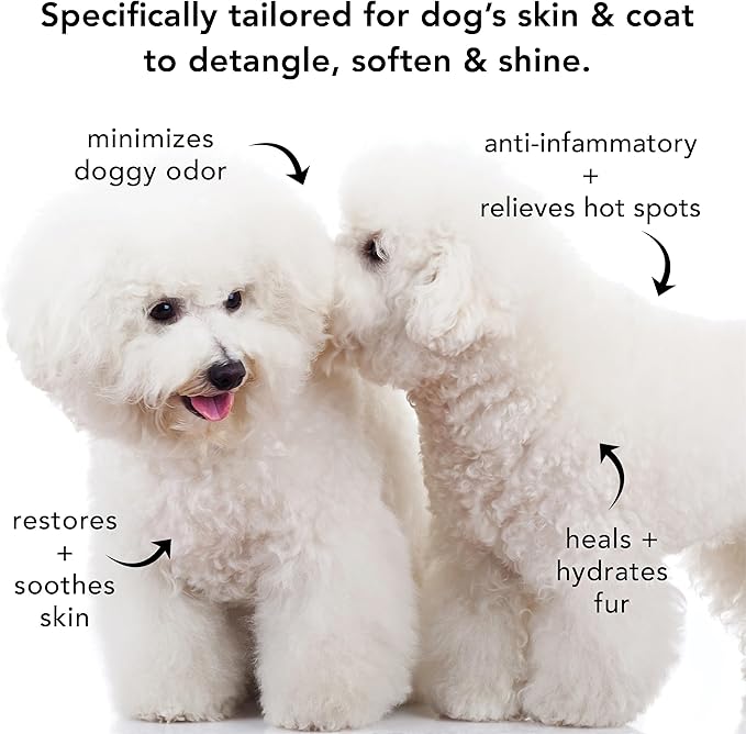 Pride and Groom The Non Shedder | Dog Grooming Shampoo For Doodles and Dogs that Do Not Shed | Tearless All Natural Body Wash with Essential Oils & Coat-Specific Ingredients that Enhance Shine – 128oz