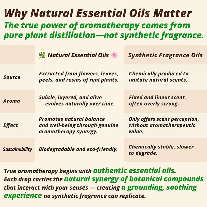 Sandalwood & Bergamot Aromatherapy Body & Massage Oil – Lightweight, Fast-Absorbing Hydration with a Woody-Citrus Essential Oil Aroma for a Refreshing Self-Care Experience, 1 fl oz / 30 ml
