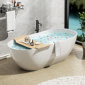 Abruzzo 69" Free Standing Solid Surface Resin Stone Bathtub, Contemporary Oval Soaking Tub with Overflow and Pop-up Drain, cUPC Certified，Matte White