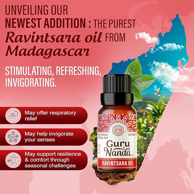 GuruNanda Breathe Essential Oil Set (Pack of 3 x 0.34 Fl Oz) - 100% Pure, Natural & Undiluted Diffuser Oils for Aromatherapy - Helps Support Clear Breathing - Suitable for Massages & DIY Recipes