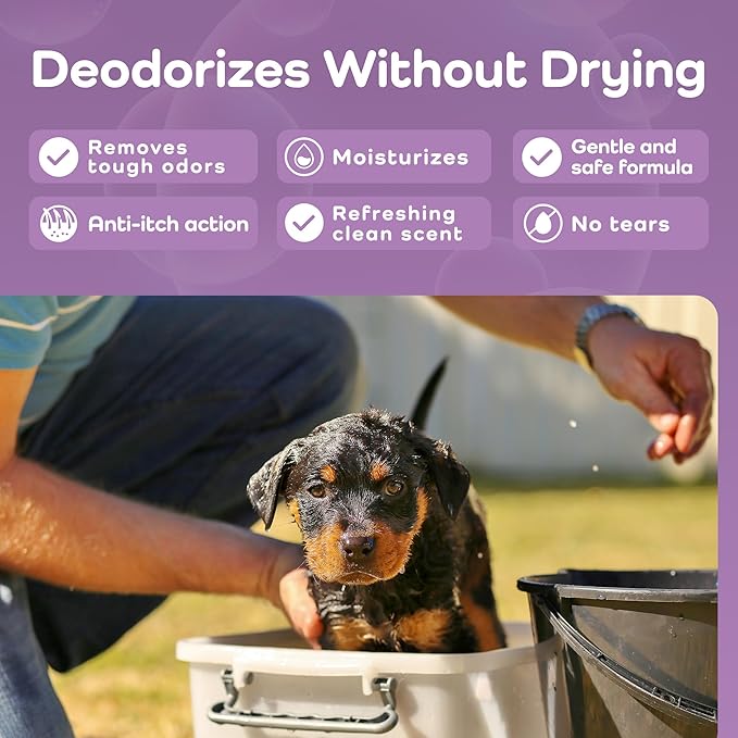 Sensitive Care -Tangle-Free-Silky Shine Softening and detangling Shampoo, Delicate Coat Clean & Odor Control Shampoo – Advanced Shine Formula for Dogs (Rottweilers, 16 Fluid Ounces)