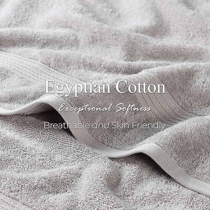 Superior Egyptian Cotton 10-Piece Face Towel Set , Small Towels For Facial, Spa, Quick Dry, Absorbent Towels, Bathroom Accessories, Guest Bath, Home Essentials, Washcloth, Airbnb, Silver