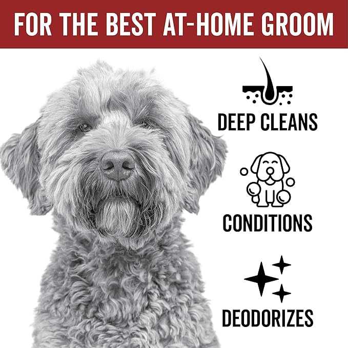 Pride and Groom DogDays Curly + Wavy Grooming Shampoo | Tearless, All-Natural Shampoo for No and Low Shedding Dogs | Moisturizing Formula for Soft, Shiny, & Healthy Fur – 16 oz