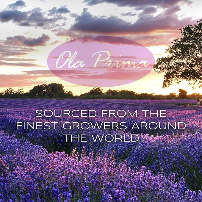 Ola Prima Rose Geranium Essential Oil Pure Therapeutic Grade for Aromatherapy Diffuser, Relaxation & Skincare (16oz Bulk)